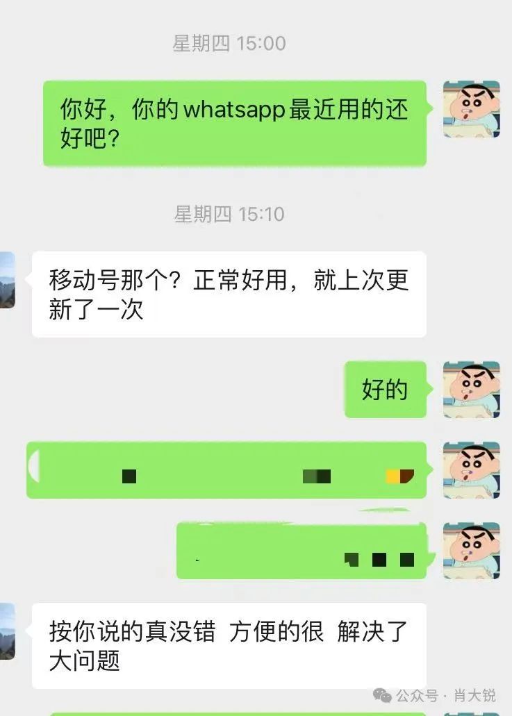 解决WhatsApp验证码接收问题：全面分析原因及有效解决方案